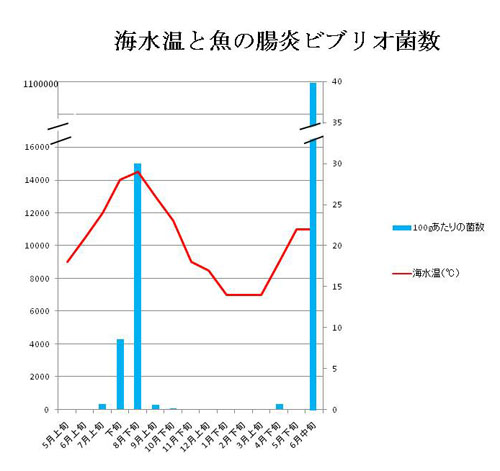 海水温と魚の腸炎ビブリオ菌数